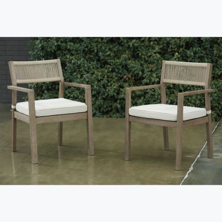 Aria Plains Set of 2 Arm Chairs