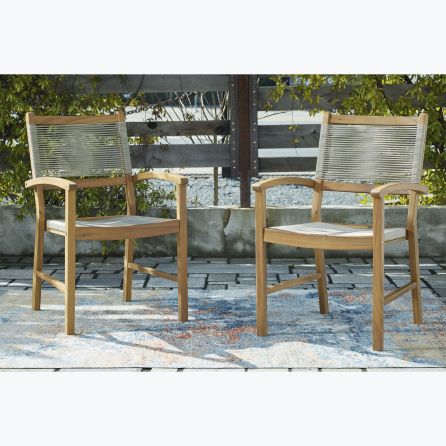 Janiyah Set of 2 Woven Arm Chairs