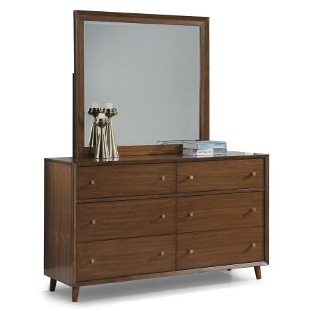 Ludwig Dresser pictured with mirror.