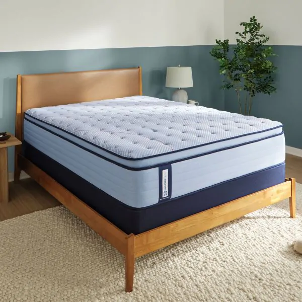 Buy ACIER SOFT EPT 532504 WEB CAT SKU Online at Bernie & Phyl's