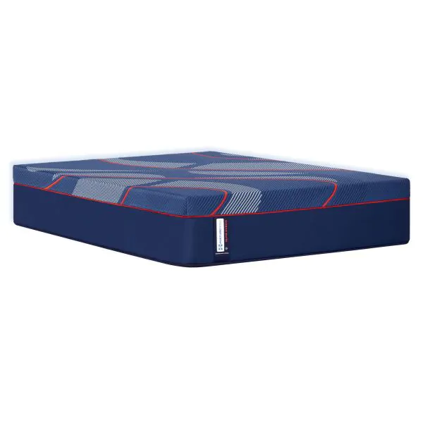 Buy ALBANY II HYBRID FIRM 532045 WEB CAT SKU Online at Bernie & Phyl's