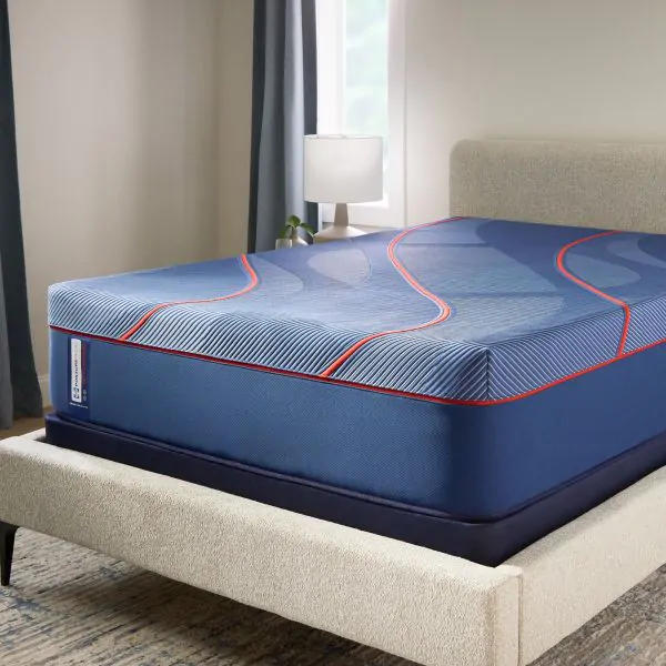 Buy ALBANY II HYBRID FIRM 532045 WEB CAT SKU Online at Bernie & Phyl's