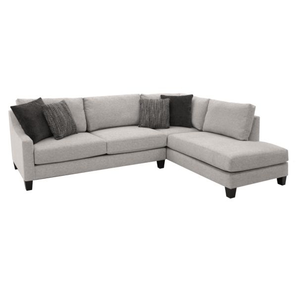 Buy Bosco 2 Piece Sectional Online at Bernie & Phyl's