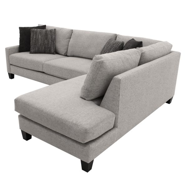 Buy Bosco 2 Piece Sectional Online at Bernie & Phyl