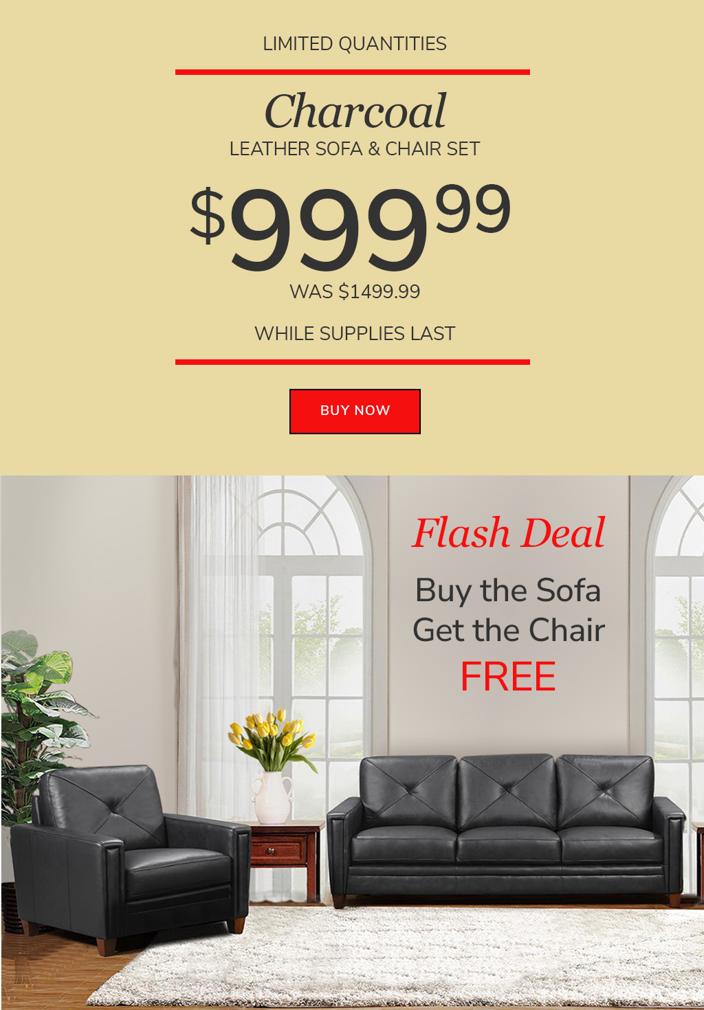 Flash Deal: Buy the Charcoal Leather Sofa Get the Chair FREE