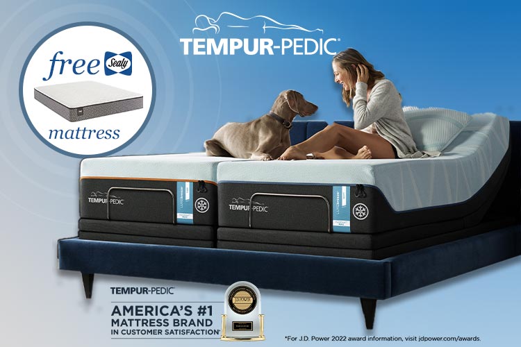 Tempur-Pedic plus Free Sealy mattress